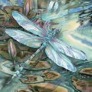 Meet your Posher, Bertie